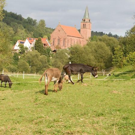 Ferienwohnung Spreter Zimmern ob Rottweil Exterior foto