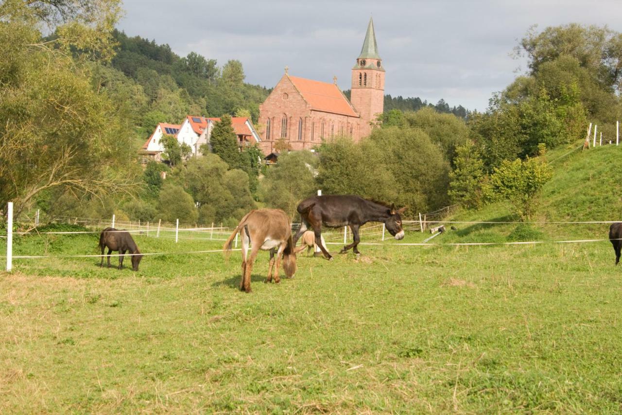 Ferienwohnung Spreter Zimmern ob Rottweil Exterior foto